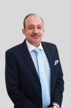 Mr. Manu Chadha